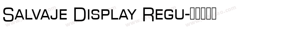 Salvaje Display Regu字体转换